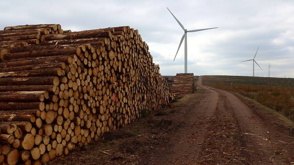 Timber stacks in the Auchrobert Wind farm 